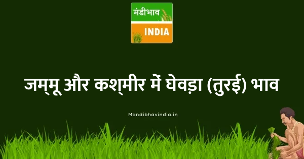 Sponge gourd भाव